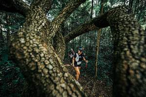 BIB: 
                            <button type="button" onclick="openModal(25394238)" class="btn btn-primary btn-sm float-right btn-popup" data-toggle="modal" data-target=".modal-high-quality">
                        <i class="fas fa-shopping-cart"></i> Add to Cart
                    </button>
                                            <button type="button" onclick="isThisMe(25394238, true)" class="btn btn-success btn-sm float-right btn-popup btn-isme hidden" data-toggle="tooltip" data-placement="bottom" title="นี่คือรูปของคุณใช่ไหม คลิกที่นี่เพื่อเอาเข้าอัลบั้ม">
                        <i class="fas fa-plus"></i> Add to album
                    </button>
                    <button type="button" onclick="isThisMe(25394238, false)" class="btn btn-warning btn-sm float-right btn-popup btn-isnotme hidden">
                        <i class="fas fa-ban"></i> Remove from album
                    </button>